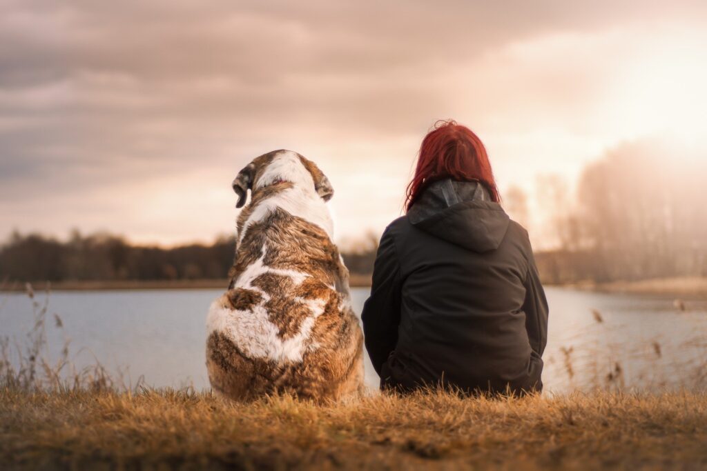Hund und Mensch